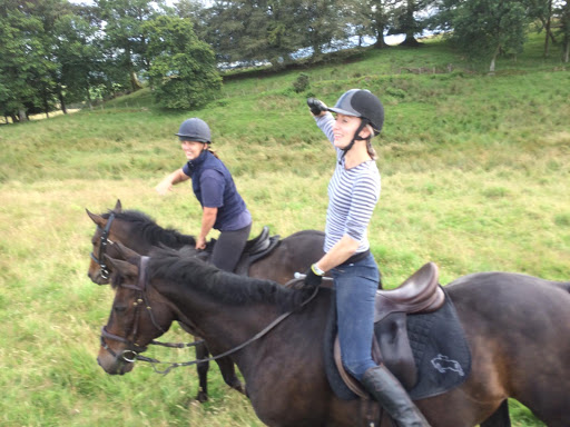 Tullochan Stables - Livery Yard Near Glasgow & Stirling