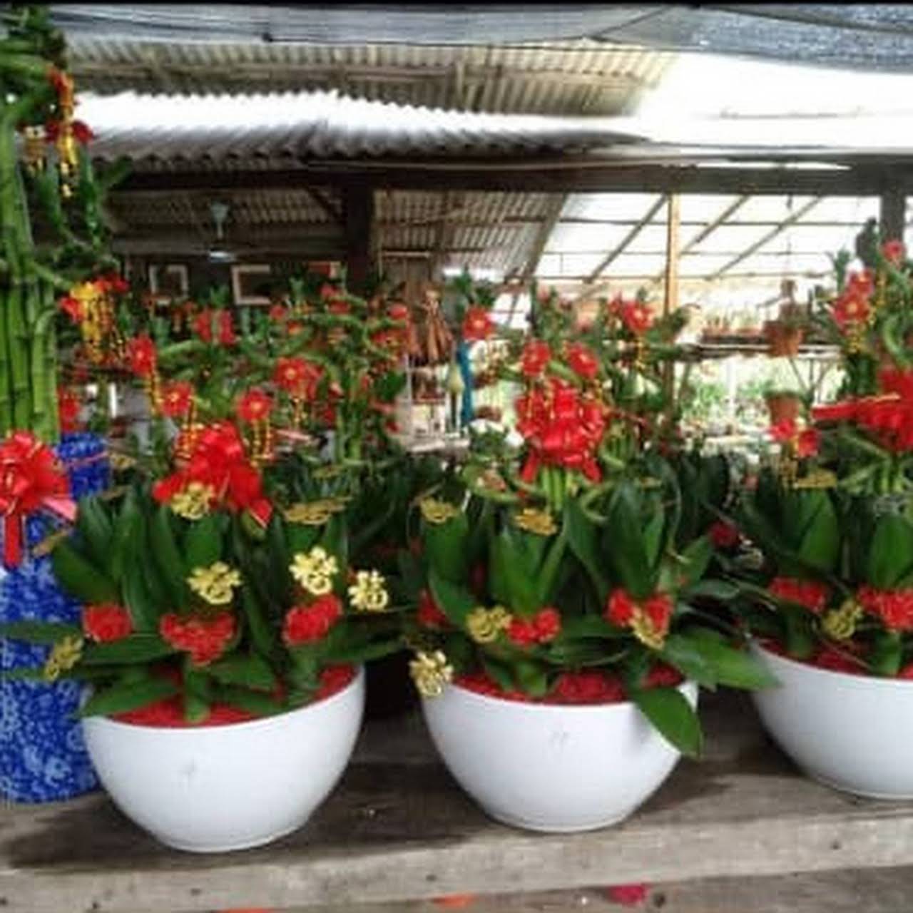 Poh Soon Garden Sdn Bhd Plant Nursery In Bukit Kuda Heights