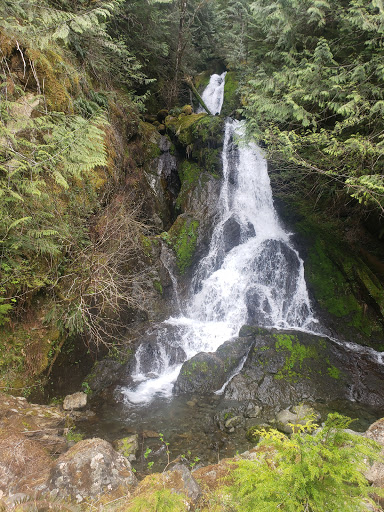 Wynoochee Falls - Thumbnail