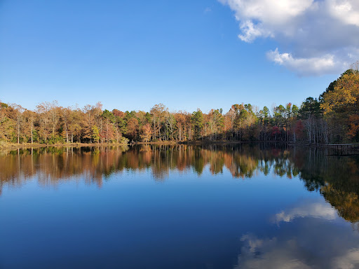 Pine Mills Ranch - Visual