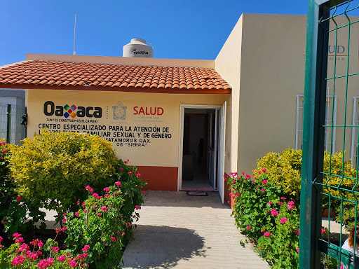 CEPAVI TLACOLULA Gallery - Mexico