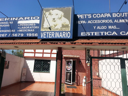 Consultorio veterinario