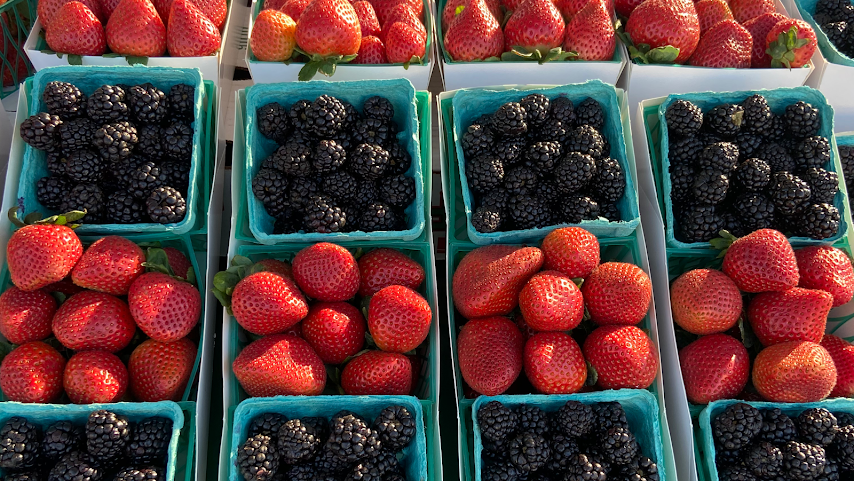 East Los Angeles Certified Farmers Market by null