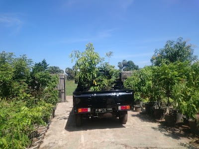 Photos of Kebun Lengkeng Takalar