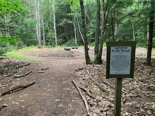 Labyrinth in the Woods - Thumbnail