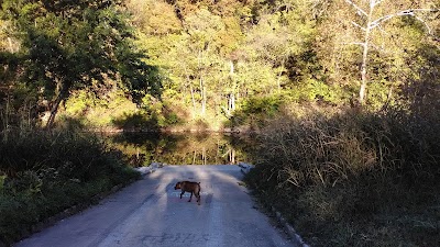 Sunset Park Access