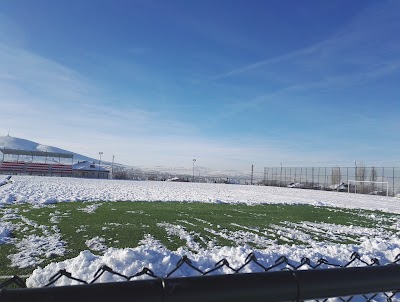 stadium