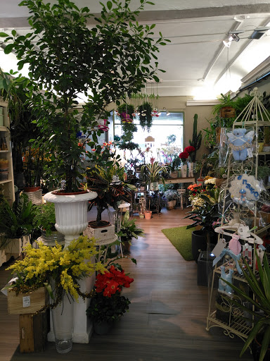 Il Giardino Di Pan Di Morelli Antonio Logo