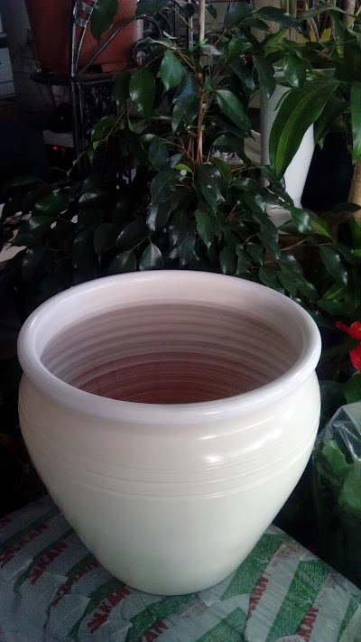 Photos of İlayda Floriculture