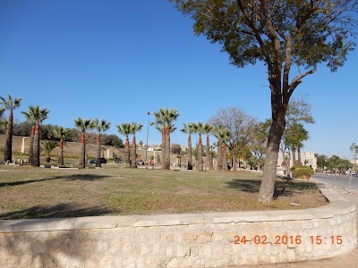 Photos of Bab Jdid Garden