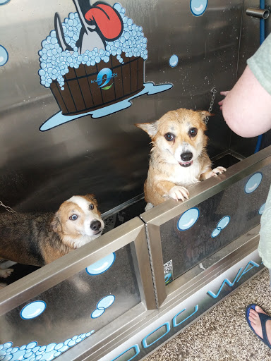 Keystone Pet Place Mount Joy - Thumbnail