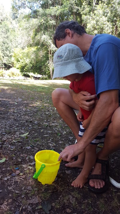Photos of Jubliee Creek Picnic Site