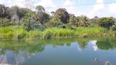 Photos of Eco Quintas Caribe