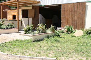Photo n°6 de haras de vaugouret à Saint-Sérotin (Écurie)