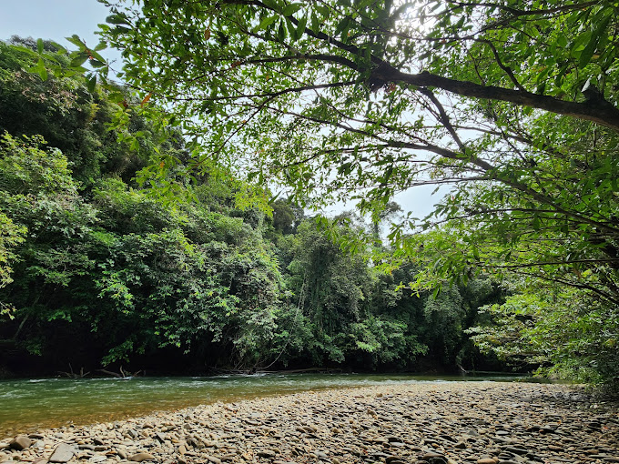 Hutan Lindung Betung Kerihun