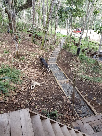 Photos of Cielo Verde