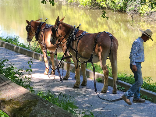 Canal Experience Gallery - United States
