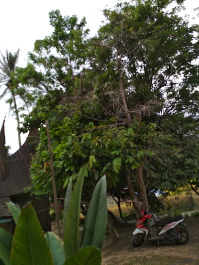 Photos of Masjid Raya Baruah Gunuang