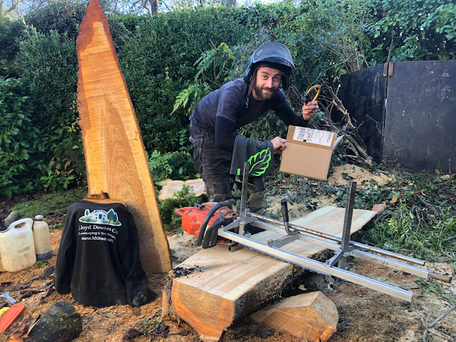 Lloyd Downes Co. Tree Surgery Landscaping & Fencing - Landscaper