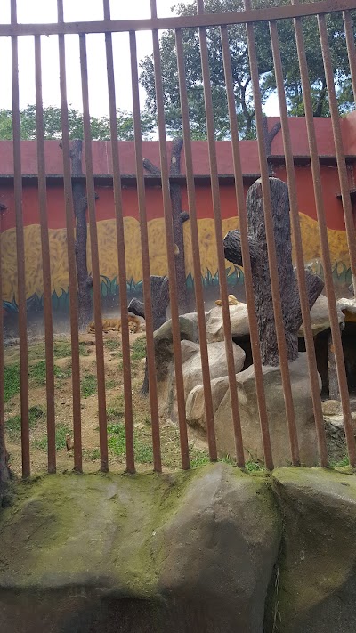 Photos of La Cueva de las Minas