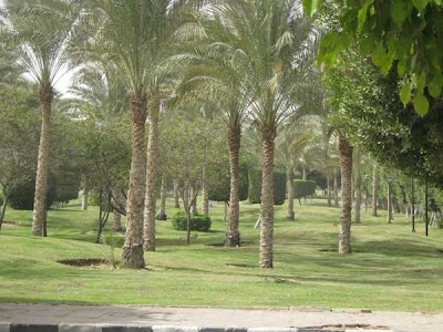 Photos of اليابانية عقارات مدينتى والرحاب 01154448978 / 01155445515
