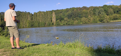 Plan d'eau de Tuffé - Thumbnail
