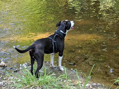 Sigfridson County Park