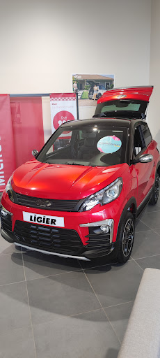 LIGIER STORE - RIESTER MOBILITÉS - VOITURES SANS PERMIS LIGIER ET MICROCAR Gallery - France
