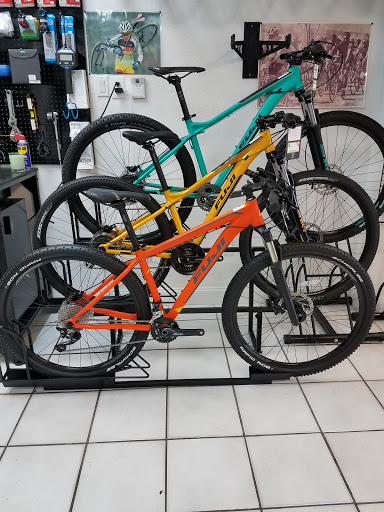 Friendly Cycle - Visual