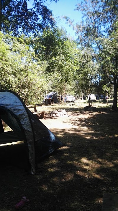 Photos of Nativo Camping & Caba&ntilde;as Lago Panguipulli