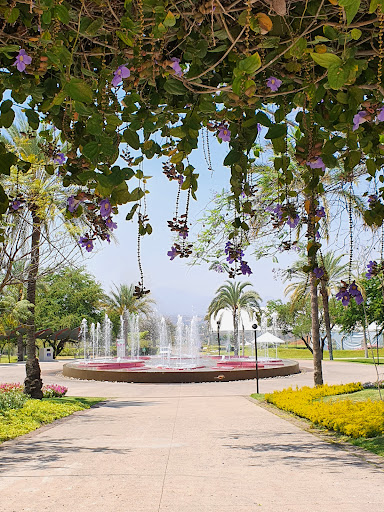 Lago Central - Visual