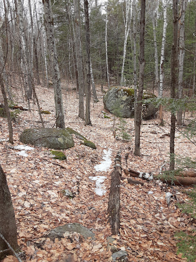 Ramblin' Vewe Farm Trail Parking Lot