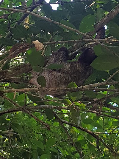 Photos of Puerto Viejo Vacation Rentals / Monkey Rentals