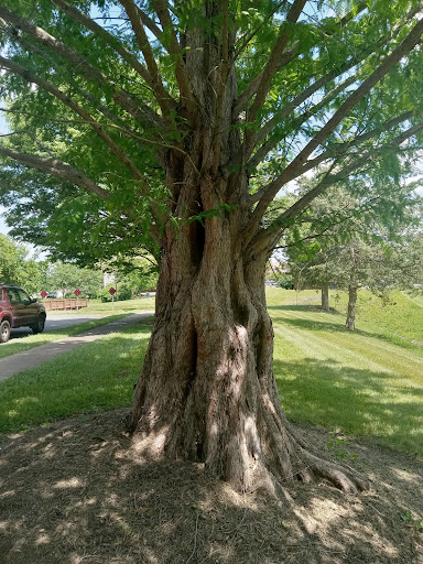 Carrvale Park - Thumbnail