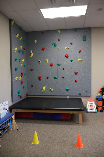 Family Physical Therapy & Sports - Thumbnail