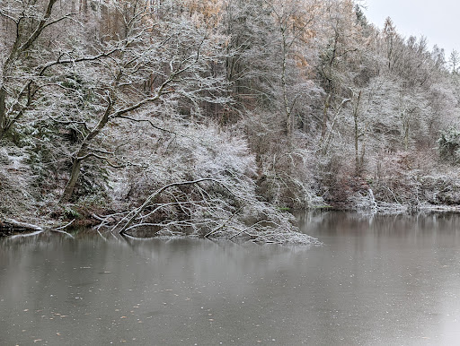 Fischweiher - Visual