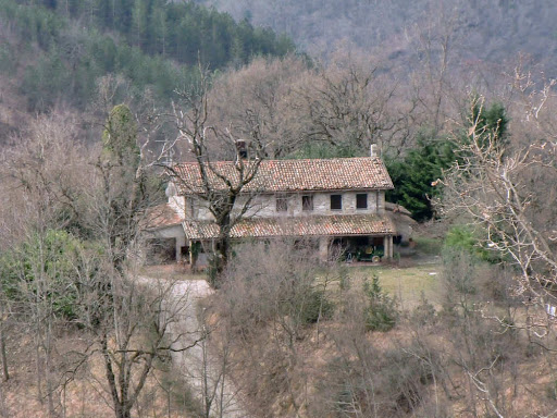 Fontanelle