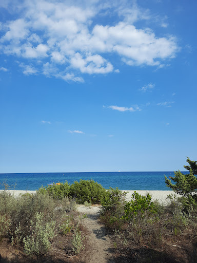 Plage de Pinia Gallery - France