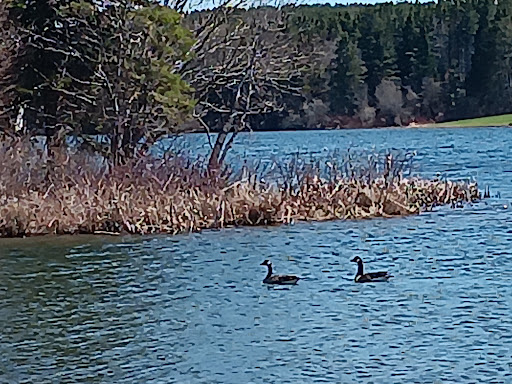 Trafton Lake Campground - Thumbnail