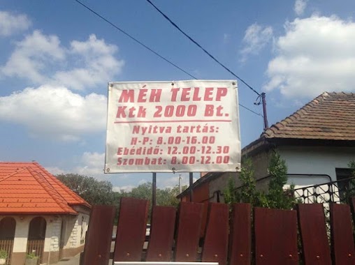 MÉH TELEP - fém, vas, öntvény, lemez, acél, réz, akkumulátor, elektronikai, spiáter, kábel hullladék, Author: MÉH TELEP - fém, vas, öntvény, lemez, acél, réz, akkumulátor, elektronikai, spiáter, kábel hullladék