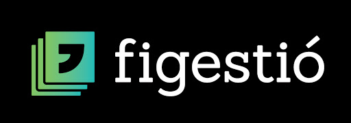 Figestió - Visual
