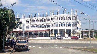 Photos of Loro Verde
