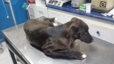 Photos of Clinica Veterinaria Baquedano
