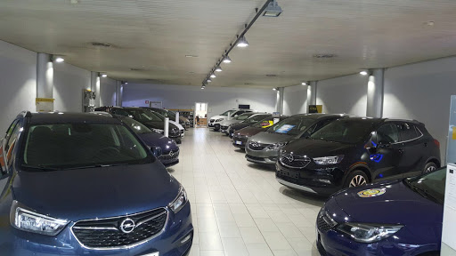 AUTOSUD OPEL MILANO Gallery - Italy