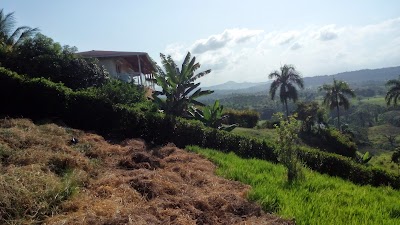Photos of Les Jardins de Rio