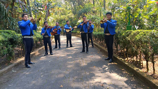 Mariachis en Xalapa