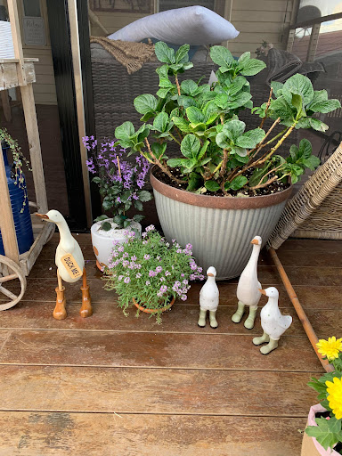 Duck Junction - Visual
