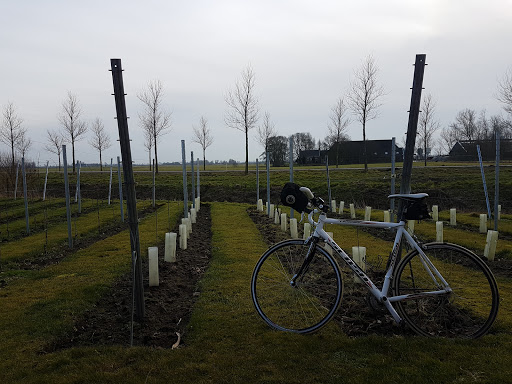 Zorgverbeteraars - Visual