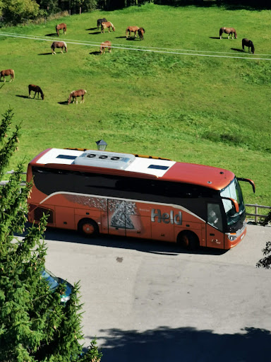 Omnibus Held - Visual