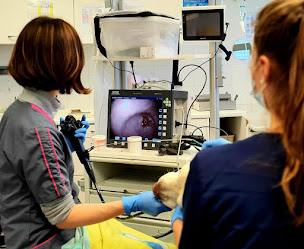 Photo n°62 de Clinique vétérinaire des Sablons à Chartres (Pharmacie vétérinaire)